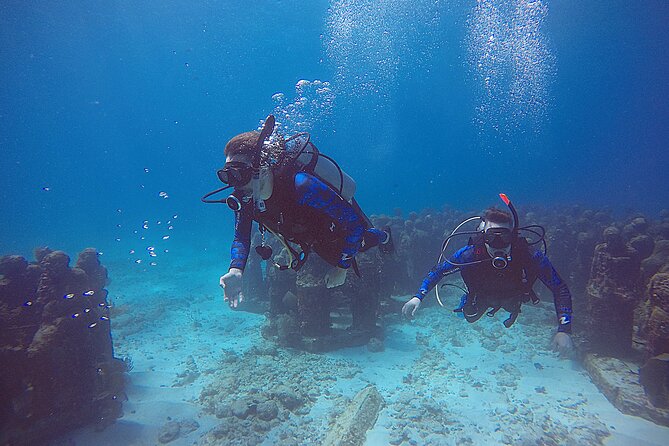 2 Days Class: SDI Open Water Diver Certification in Cancun - Quick Snapshot: Price, Time, and What’s Actually Included