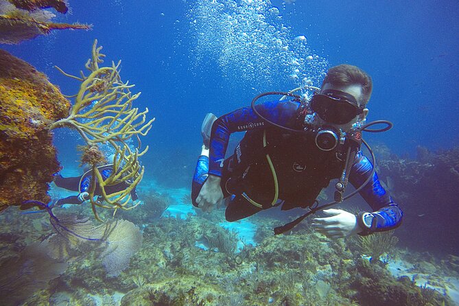 2 Days Class: SDI Open Water Diver Certification in Cancun - Meet the Team: Why Carolina and Marin Matter