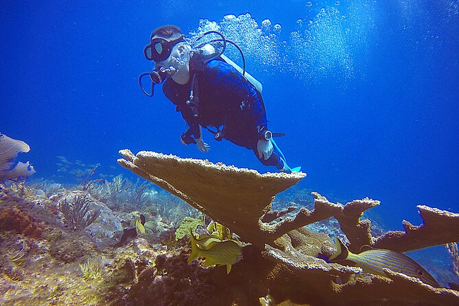 2 Days Class: SDI Open Water Diver Certification in Cancun - Boat Time, Nausea Help, and Real-World Comfort Tips
