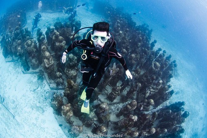 2 Tank Dives MUSA and Manchones reef (Certified divers) - MUSA Underwater Museum: Why the Sculptures Are More Than a Photo Stop