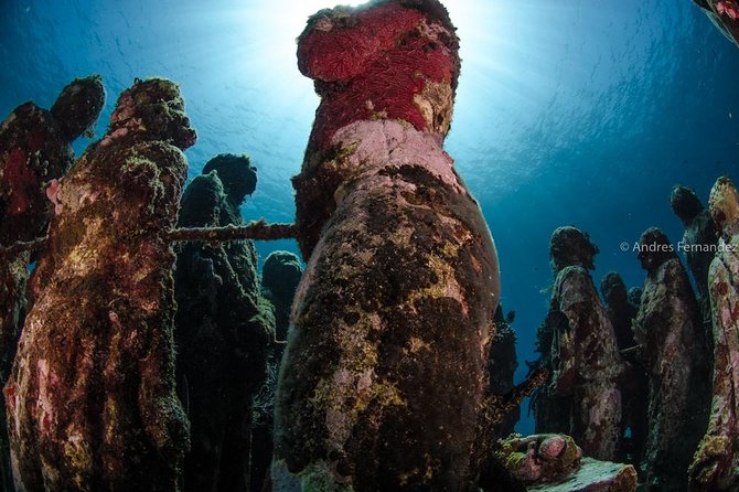 2 Tank Dives MUSA and Manchones reef (Certified divers) - Included Gear and Refreshments: Less Hassle, More Time in the Plan