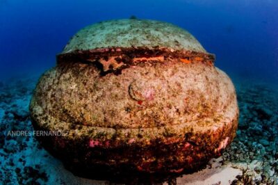 2 Tank Dives MUSA and Manchones reef (Certified divers) - Manchones Reef After MUSA: A Two-Tank Morning That Keeps Variety Simple