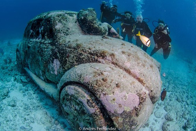 2 Tank Dives MUSA and Manchones reef (Certified divers) - Price and Value: What You’re Getting for $167.28