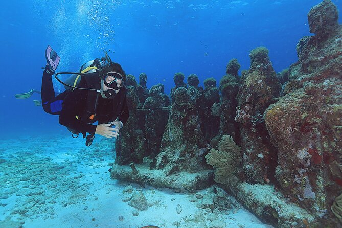 2 Tanks Dives Cancun Underwater Museum for Certified Divers - Price and what makes $156 feel fair