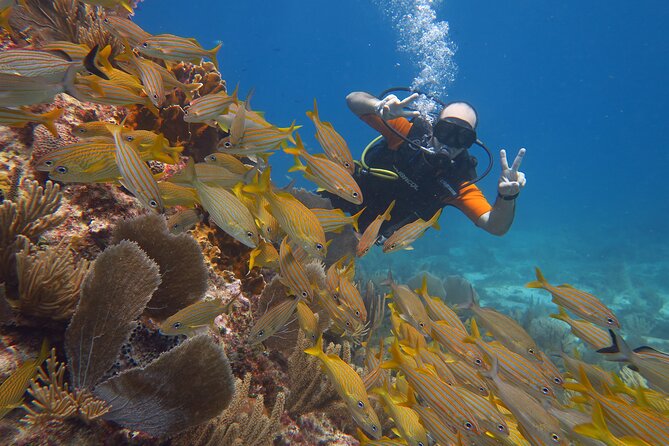 2 Tanks Dives Cancun Underwater Museum for Certified Divers - Gear is included—and the wetsuit detail saves you hassle