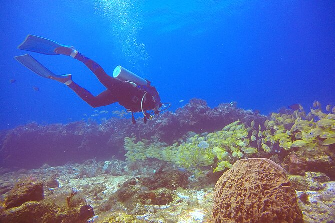2 Tanks Scuba Diving in Punta Cancun Reefs for Certified Divers - The Boat Ride: Views, Timing, and Comfort Tips That Matter