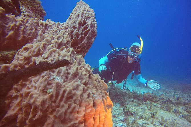2 Tanks Scuba Diving in Punta Cancun Reefs for Certified Divers - Price and Value: Is $159 Fair for Two Reef Sessions?