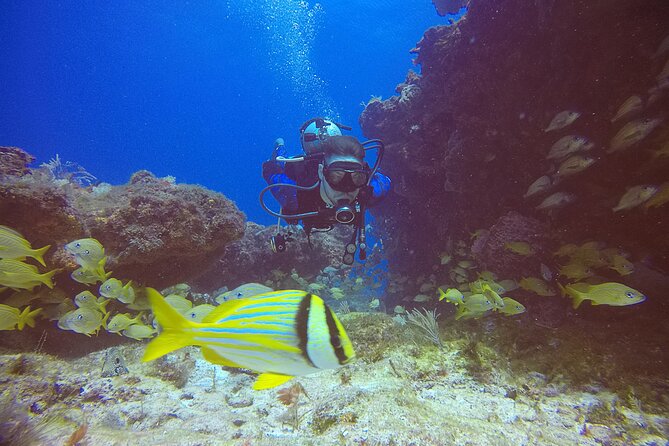 2 Tanks Scuba Diving in Punta Cancun Reefs for Certified Divers - The Schedule: Check-In at 1:30 pm and Back by 5:30 pm