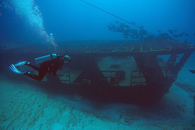 2 Tanks Scuba Diving Wreck and Reef in Cancun for Certified Divers - A 1:30 pm Start That Keeps the Day Simple