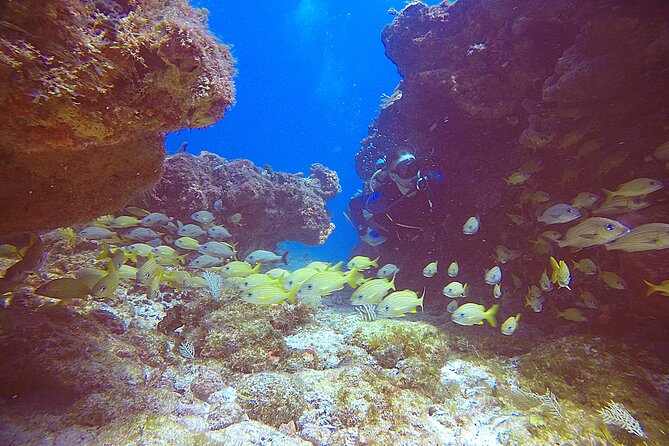 2 Tanks Scuba Diving Wreck and Reef in Cancun for Certified Divers - First Stop: Shipwreck C-58 or C-55