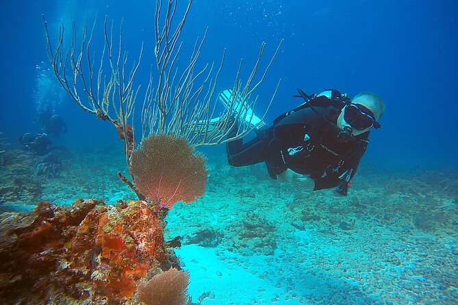 2 Tanks Scuba Diving Wreck and Reef in Cancun for Certified Divers - Small Group Size: Why Max 6 Matters on a Boat