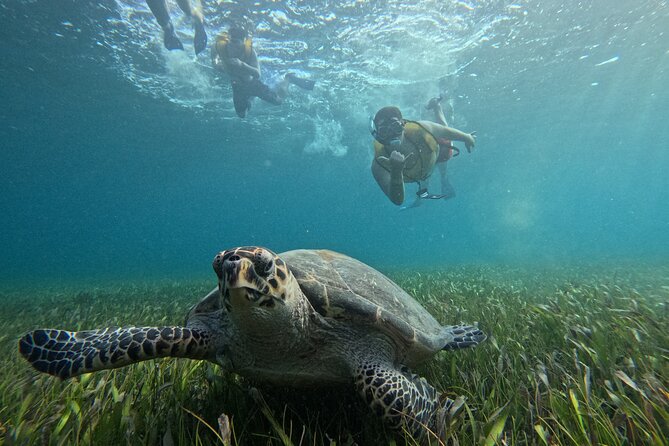 3 in 1 Jungle Tour Adventure Cancun - Steering Your Own Speedboat Through Cancun Mangroves