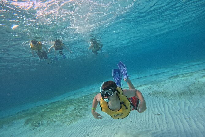 3 in 1 Jungle Tour Adventure Cancun - MUSA Underwater Museum: Art You Can Actually See