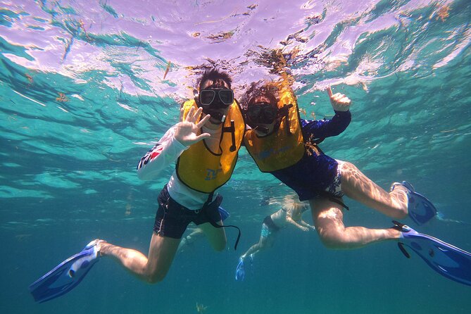 3 in 1 Jungle Tour Adventure Cancun - Cenote Stop Beneath the Ocean: A Natural Change of Pace