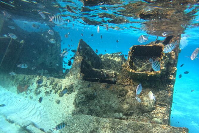 3 in 1 Jungle Tour Adventure Cancun - Price and Value: Is $47 a Good Deal?