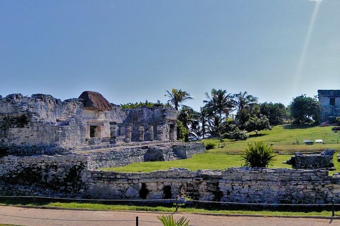 4x1 Tour to Tulum, Coba, a Cenote and Playa del Carmen for only one price! - Stop 4: Playa del Carmen and Fifth Avenue—shopping time, not a full beach day