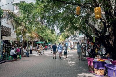 4x1 tour:Tulum/Coba,Cenote,Mayan Village& 5th Av Playa del Carmen - Morning Logistics: Pickup at 7:00 am and How Not to Get Left