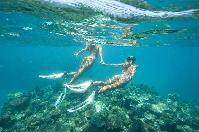 5-in-1 Adventure in Cancun: ATVs, Ziplines, Speed Boat, Snorkel and Cenote Swim - Shared transportation: why waiting happens