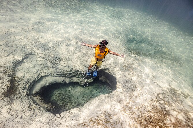5-in-1 Cancun Snorkeling Tour with Sea Life & Transport Included - Quick Key Points Before You Go