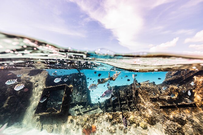 5-in-1 Cancun Snorkeling Tour with Sea Life & Transport Included - Stop 2: Underwater Art Galleries, Blessings and Vestiges
