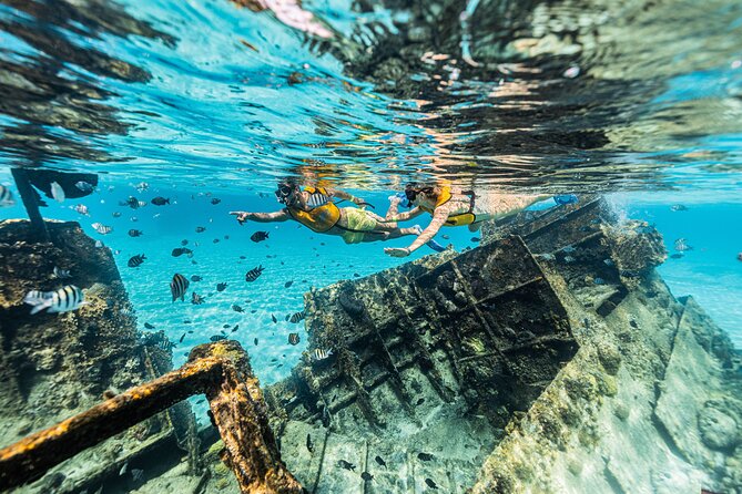 5-in-1 Cancun Snorkeling Tour with Sea Life & Transport Included - Stop 3: Turtles First, Plus Rays If You Get Lucky