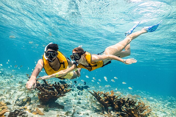 5-in-1 Cancun Snorkeling Tour with Sea Life & Transport Included - Stop 4: Shipwreck Snorkeling in Clear Water and White Sand