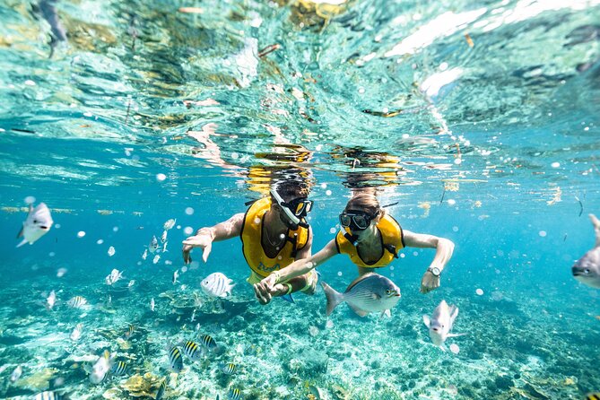 5-in-1 Cancun Snorkeling Tour with Sea Life & Transport Included - Stop 5: An Underwater Cenote to End on a Different Note