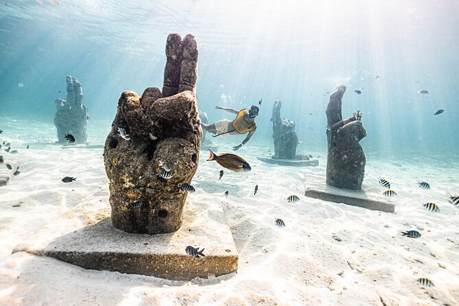5-in-1 Cancun Snorkeling Tour with Sea Life & Transport Included - Gear, Water, and Showers: Small Comforts That Matter