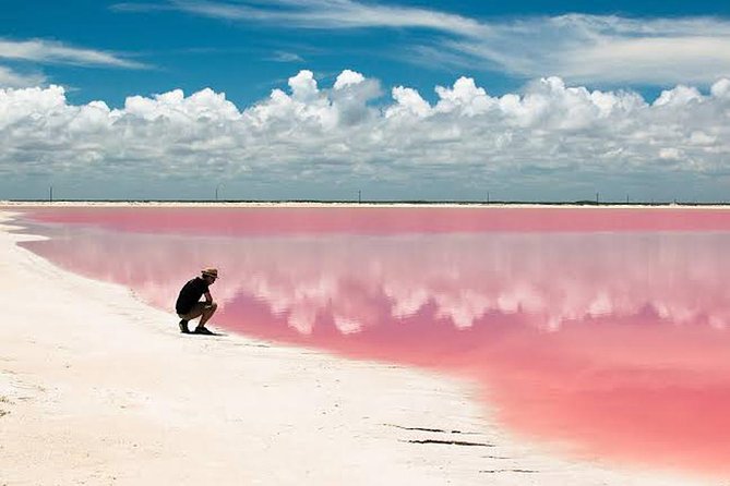 Adventour Day: Coloradas and Rio Lagartos Excursion from Cancun! - The value of Las Coloradas plus Rio Lagartos in one long day