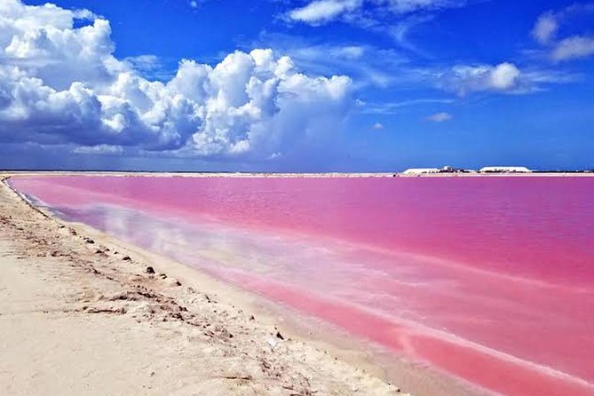 Adventour Day: Coloradas and Rio Lagartos Excursion from Cancun! - Bus bathroom rules (yes, it matters at 6:30)