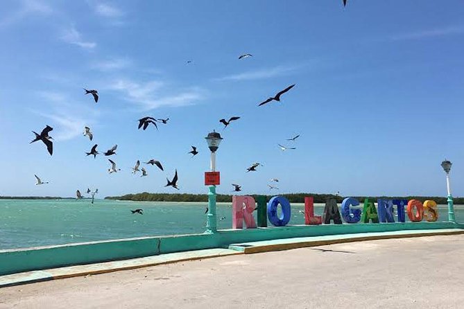 Adventour Day: Coloradas and Rio Lagartos Excursion from Cancun! - Stop 2: Rio Lagartos Biosphere Reserve, mangroves, and wildlife time