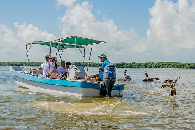 Adventour Day: Coloradas and Rio Lagartos Excursion from Cancun! - Meals that keep you going: box lunch plus your chosen plate