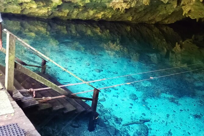 Akumal paradise tour Swimming with Turtles & ancient Tulum Ruins. Lunch included - Cenote No-ho Much: included entrance and a reset from the heat