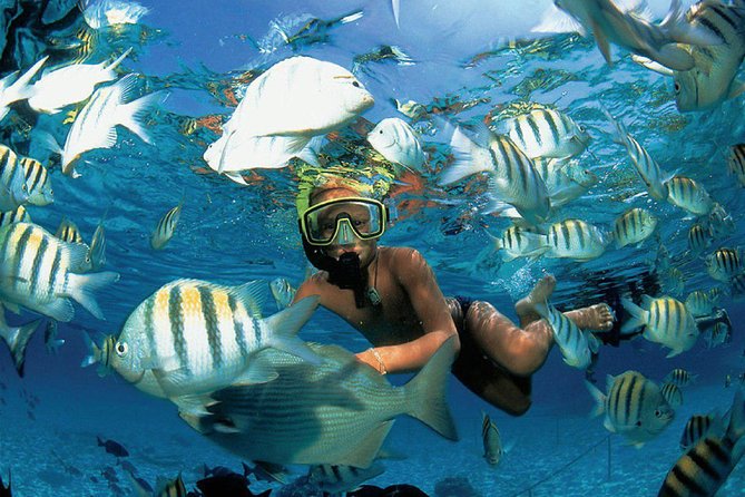 All Inclusive Caribbean adventure, reef snorkeling, Food & Drinks - On the Water: The Open Bar Vibe (And the Music Volume)