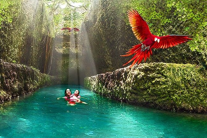 All-inclusive Xcaret Park with Transportation from Cancun & Playa Del Carmen - Price check: does $247 make sense for your family?