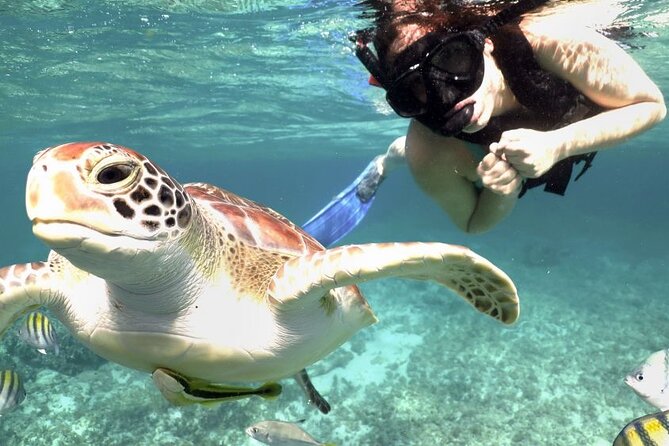 Amazing Adventure in Akumal. Swim with turtles and discover Tulum Ruins. - From Cancun to Akumal: Hotel Pickup That Sets the Tone
