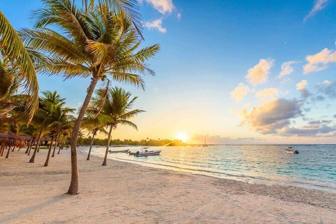 Amazing Adventure in Akumal. Swim with turtles and discover Tulum Ruins. - Snorkeling with Sea Turtles in Akumal Reef: The Magic and the Reality