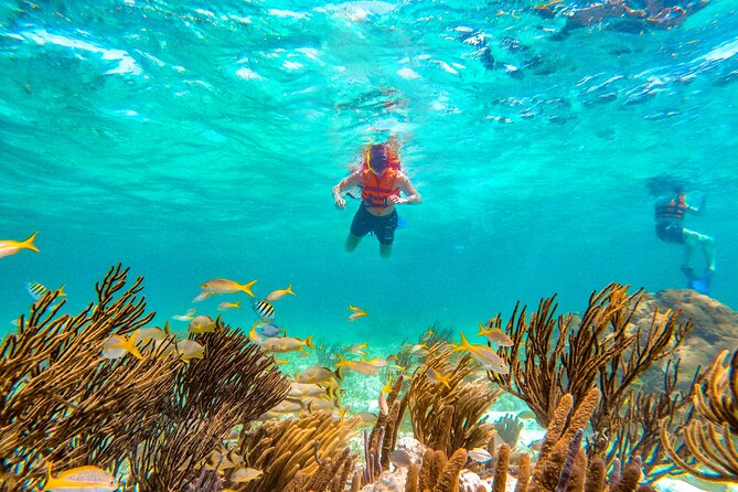 Amazing Snorkeling Experience + Real Mexican Tacos - No Sunscreen and No Personal Cameras: The Rule That Changes Your Packing