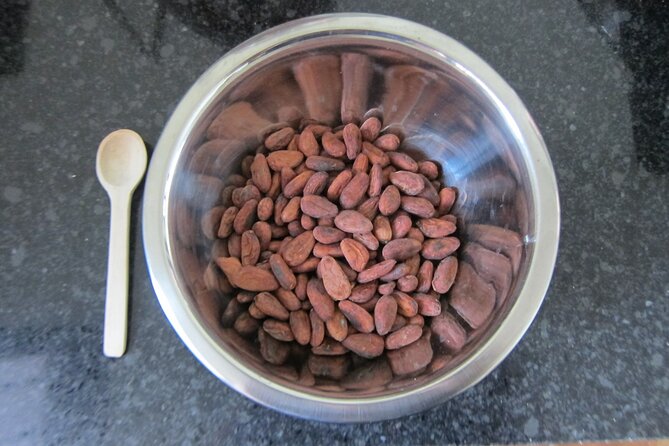 Artisanal Chocolate Bean to Bar Workshop in Cancún - What you get to take home: your 3 chocolate bars