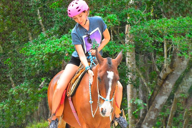 ATV Tour, Zip Lines, Horseback Riding, Cenote and Tequila Tasting - Getting there: pickup windows and the meeting points that can make or break your day