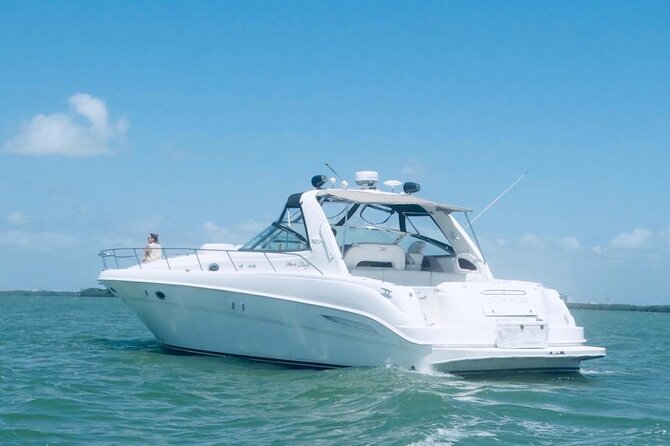Beautiful Yacht SeaRay 48ft / 15PAX 25P16 - What happens during the cruise time on board