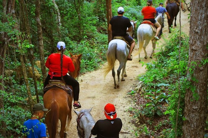 Best ATV & Mavericks Experience in Cancun + Cenote + Zip Lines - Price reality check: the $20 tour and the Ruta fee you’ll likely pay