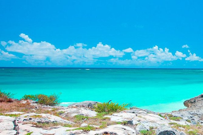 Best Tour to Tulum, Coba and Playa Del Carmen. No hidden fees! - Cobá Jungle Ruins: Walk the Path, Skip the Climb, Decide on a Bike