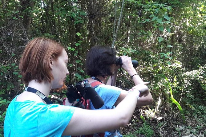 Bird watching ecofriendly tour from Cancun & Riviera Maya - Eco- and Hygiene Practices You’ll Notice on the Walks