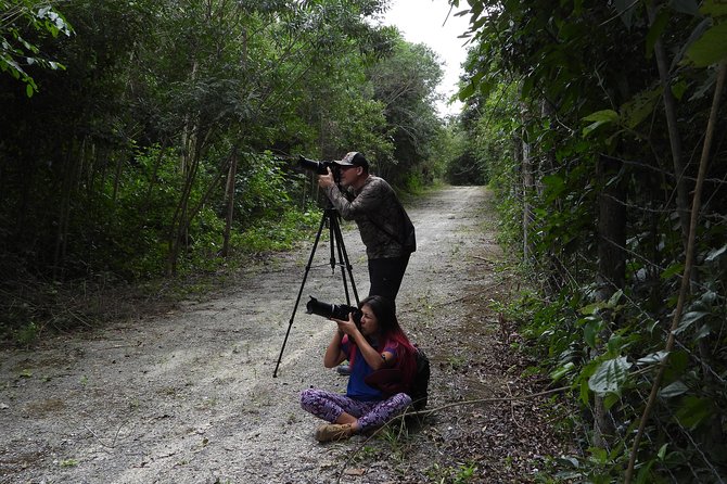 Birds of the Mayan World 2 / Route of the cenotes - Low-impact tourism in practice: how it changes what you see
