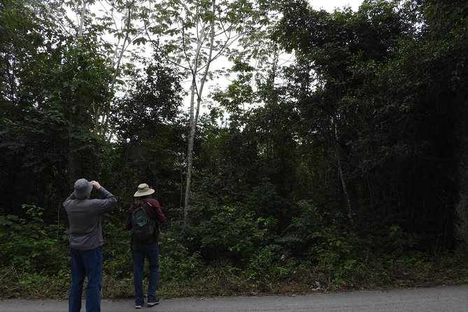 Birds of the Mayan World 3 - What’s included: meals and basic comforts that add real value
