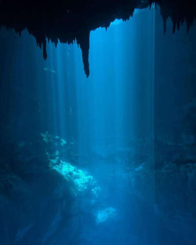 Cancun 2 Cenote Dives: The Pit & Dos Ojos - Certified Divers - Key highlights worth caring about