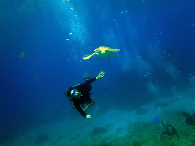 Cancun: 2-Tank Dive for Beginners with MUSA and Reef Dive - Key takeaways before you go