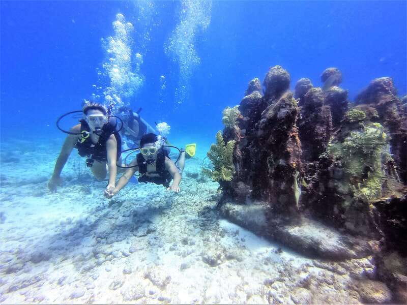 Cancun: 2-Tank Dive for Beginners with MUSA and Reef Dive - Why Cancun’s MUSA + reef combo is ideal for first-timers