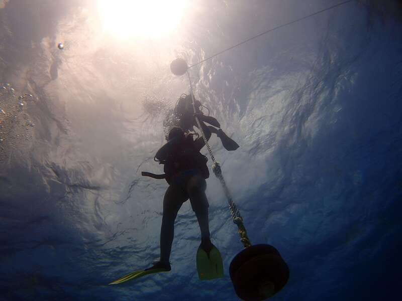 Cancun: 2-Tank Dive for Beginners with MUSA and Reef Dive - What to bring (and the sunscreen rule you can’t ignore)